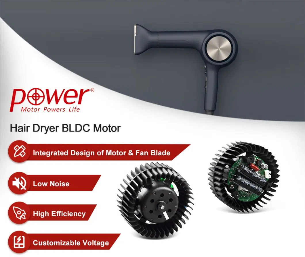 230V High Effiiciency Brushless DC Hair Dryer Motor